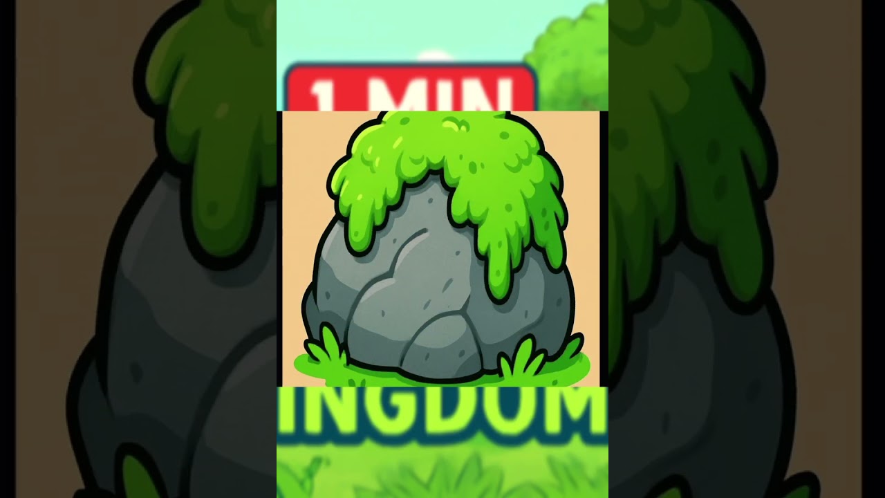 Plant Kingdom in 1 minute | Neet 2026 |@NEETify_21 