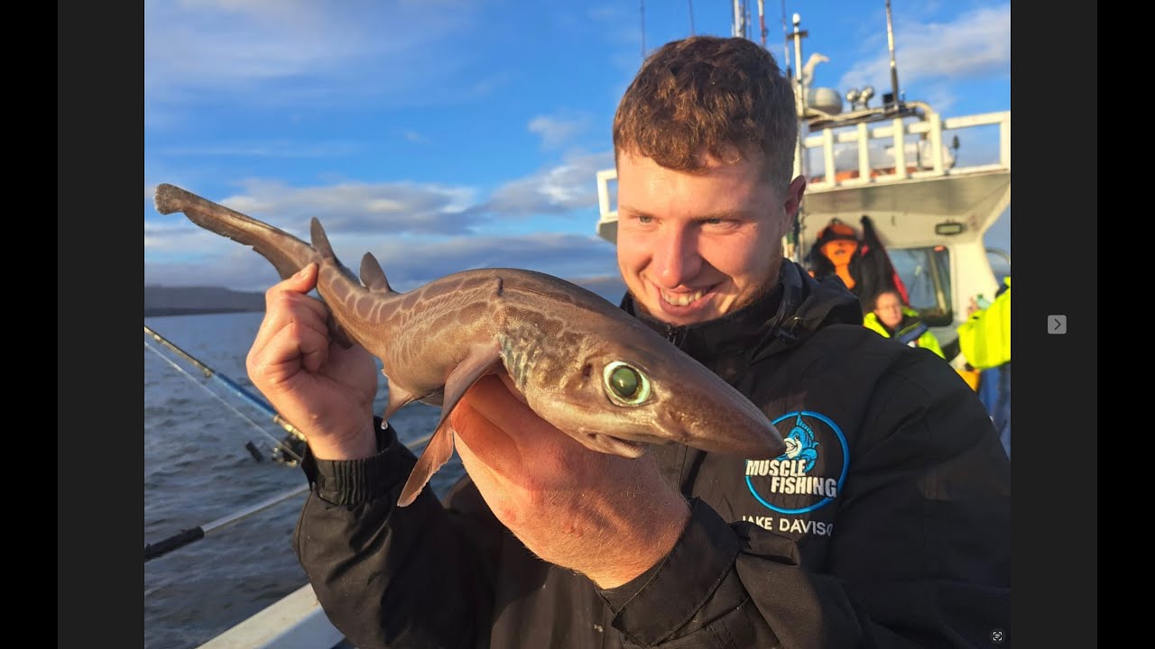 Sea Fishing Deep Water Catching Huge Skate And Super Rare Black Mouth Dogfish On The Laura Dawn 2