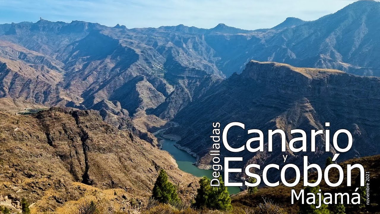 MAJAMÁ - Dgdas. del CANARIO y ESCOBÓN (comentada) (noviembre 2021) #GranCanaria #Artenara #Altavista