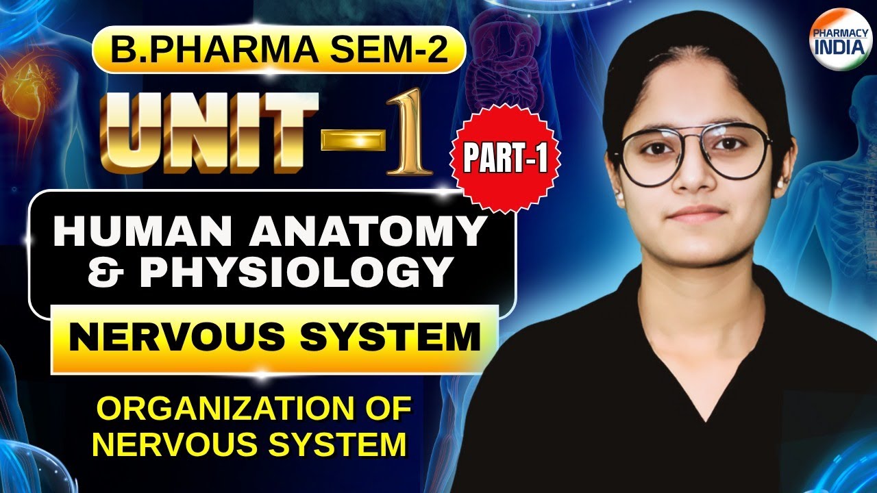 Organization Of Nervous System I HAP - II I Part -1 I Unit -1 I B.Pharm I Sem -2 #humananatomy