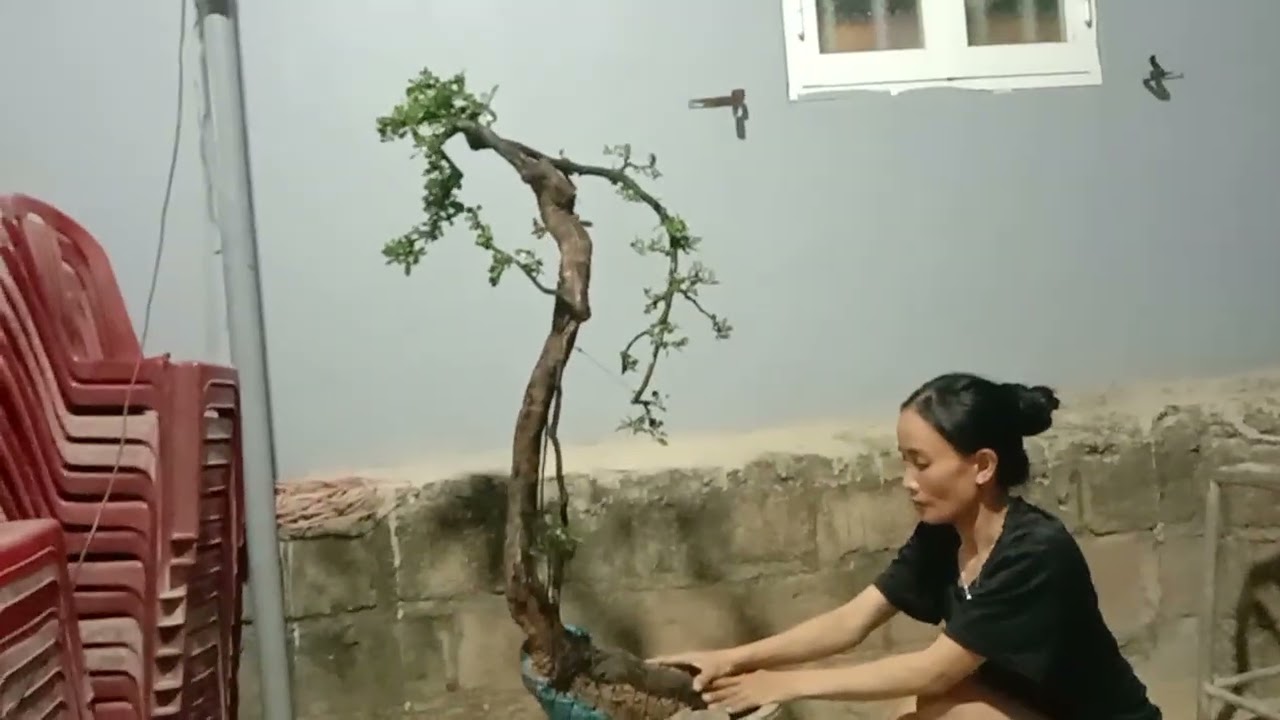 Dgl.M71.cẩm thị gl ae 600k LH zalo 0817177855.duy