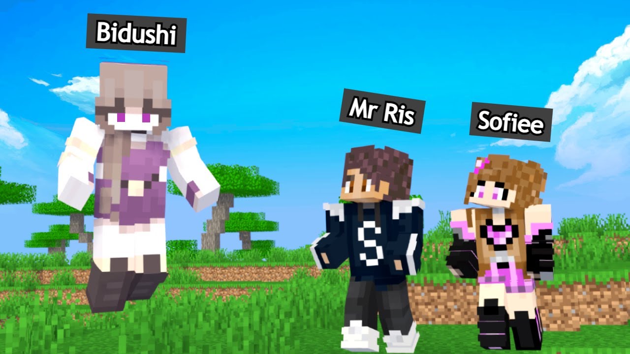 Bidushi এখানে কেন ? [ DRAGON SMP ]