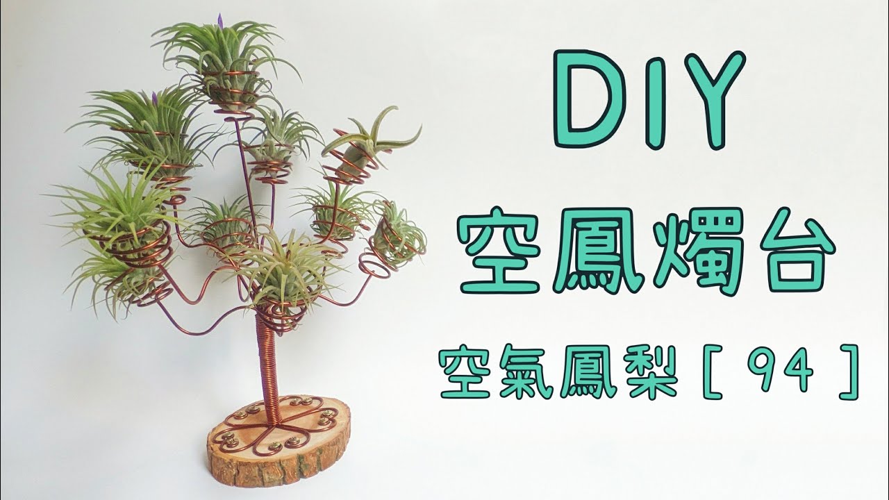 DIY wire 教你如何使用彩色鋁線製作 空鳳燭台 空鳳架 How to make Aluminum wire Air plant stand candlestick