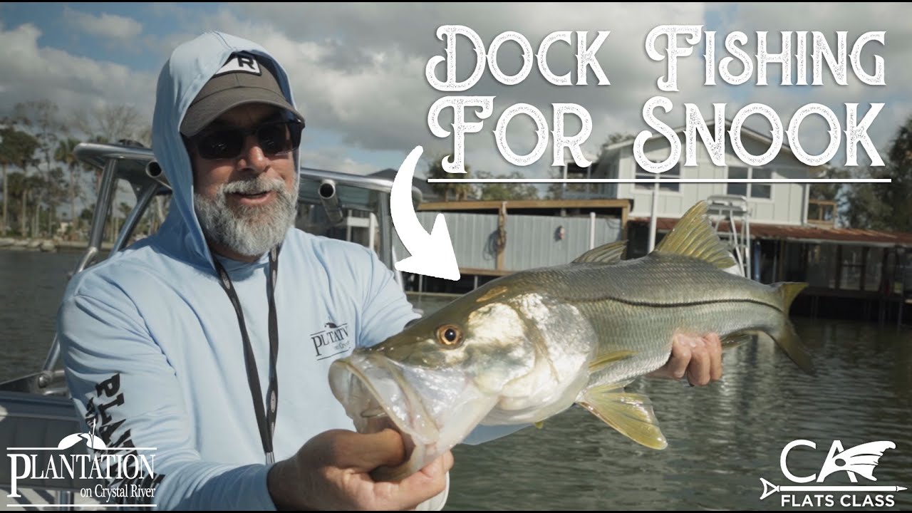 Dock Fishing For Snook! | C.A.'s Plantation Tales