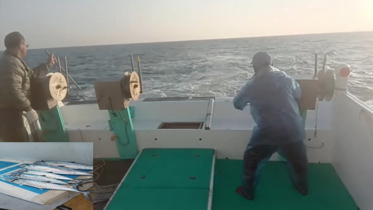 01-14-26 Taiwan fishing boat operation longline catch king mackerel using artificial bait #fishing 