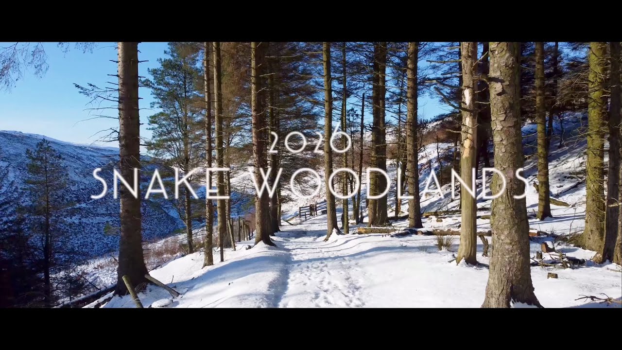 Snake Woodlands Winter 2026. DJI Mini 2