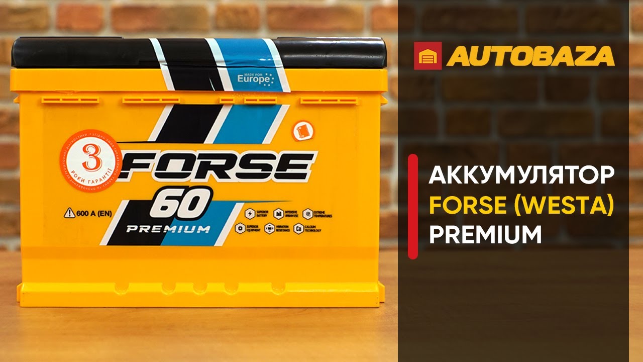 Как реагирует аккумулятор на холод? Автомобильный аккумулятор FORSE (Westa). Заморозили аккумулятор.