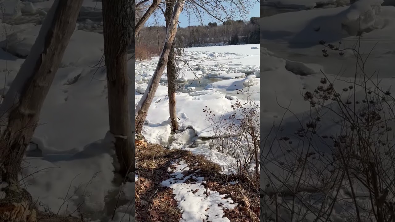 Penobscot Live Look In