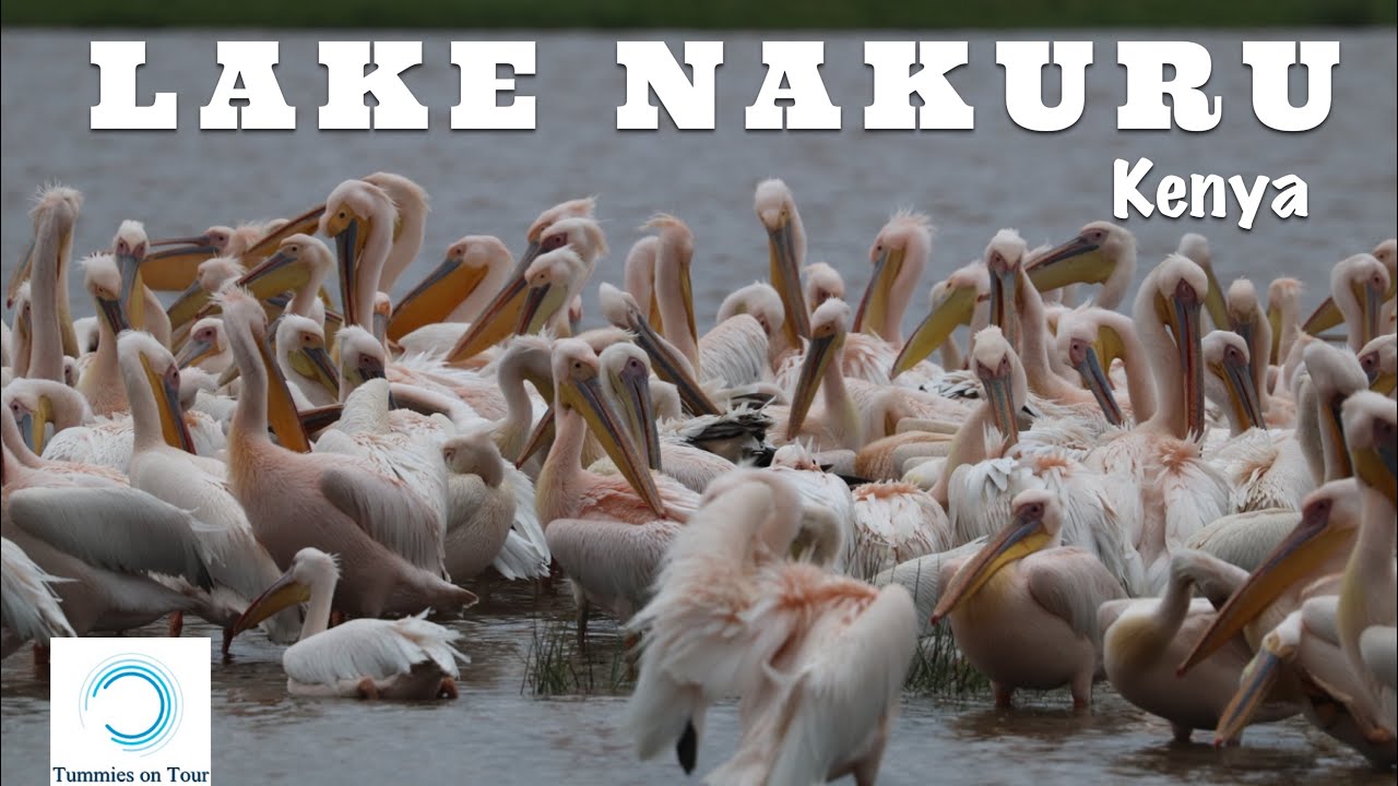 Kenya Ep 1 - Lake Nakuru | Great Rift Valley | Lake Nakuru Lodge