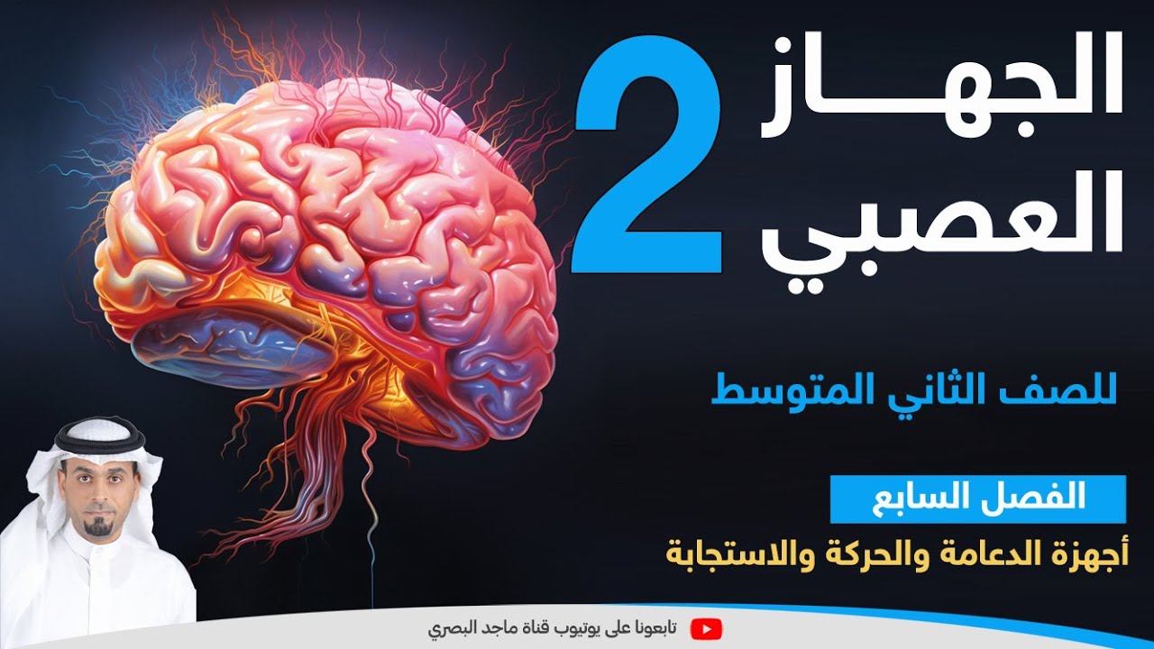 أقسام الجهاز العصبي
