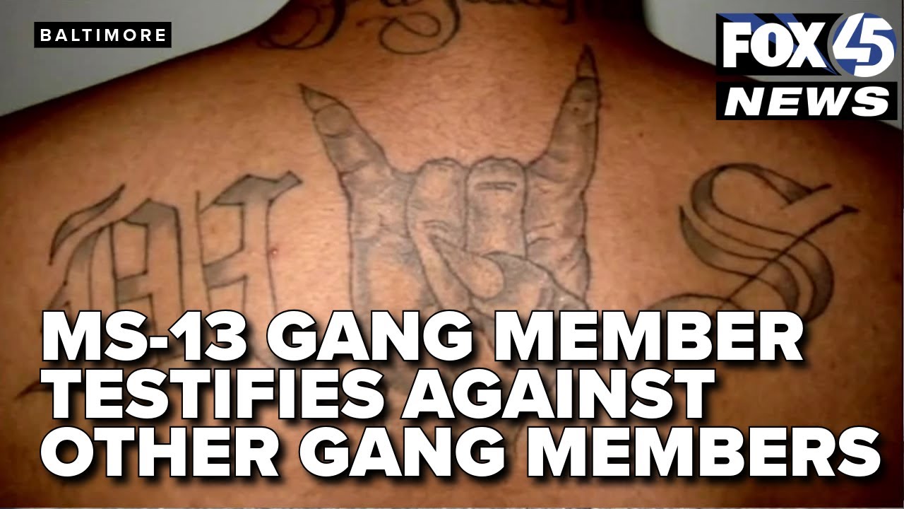 MS-13 member testifies against fellow gang members in trial involving Baltimore murders