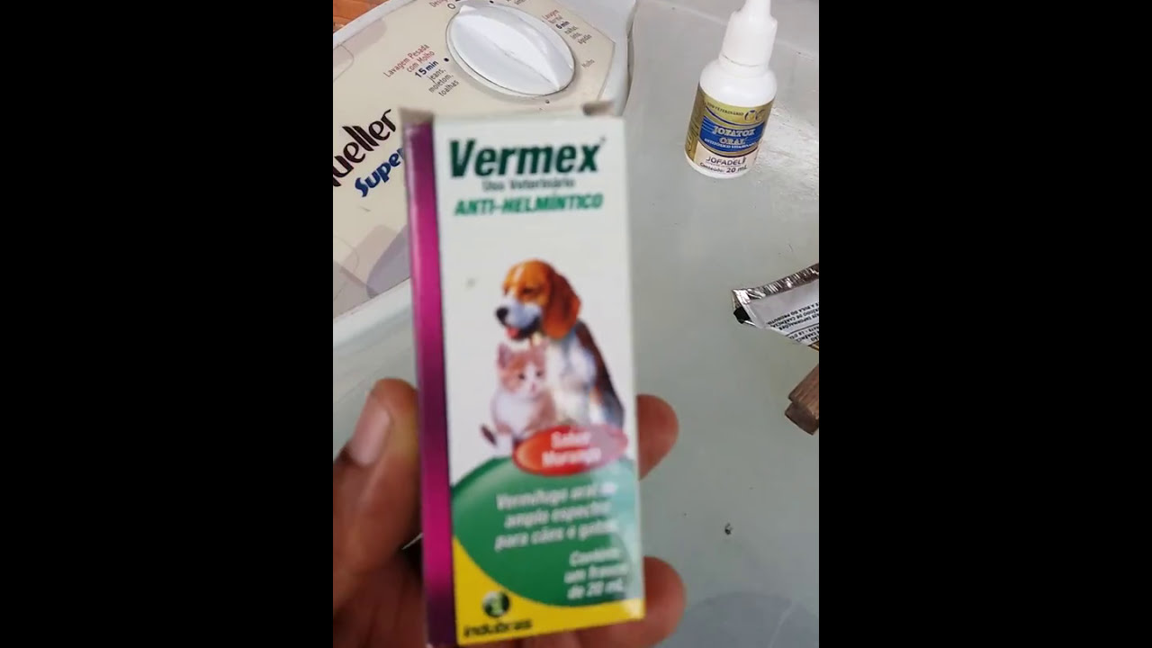 Meu cachorro t&aacute; com uma bab&aacute; transparente e vomitando