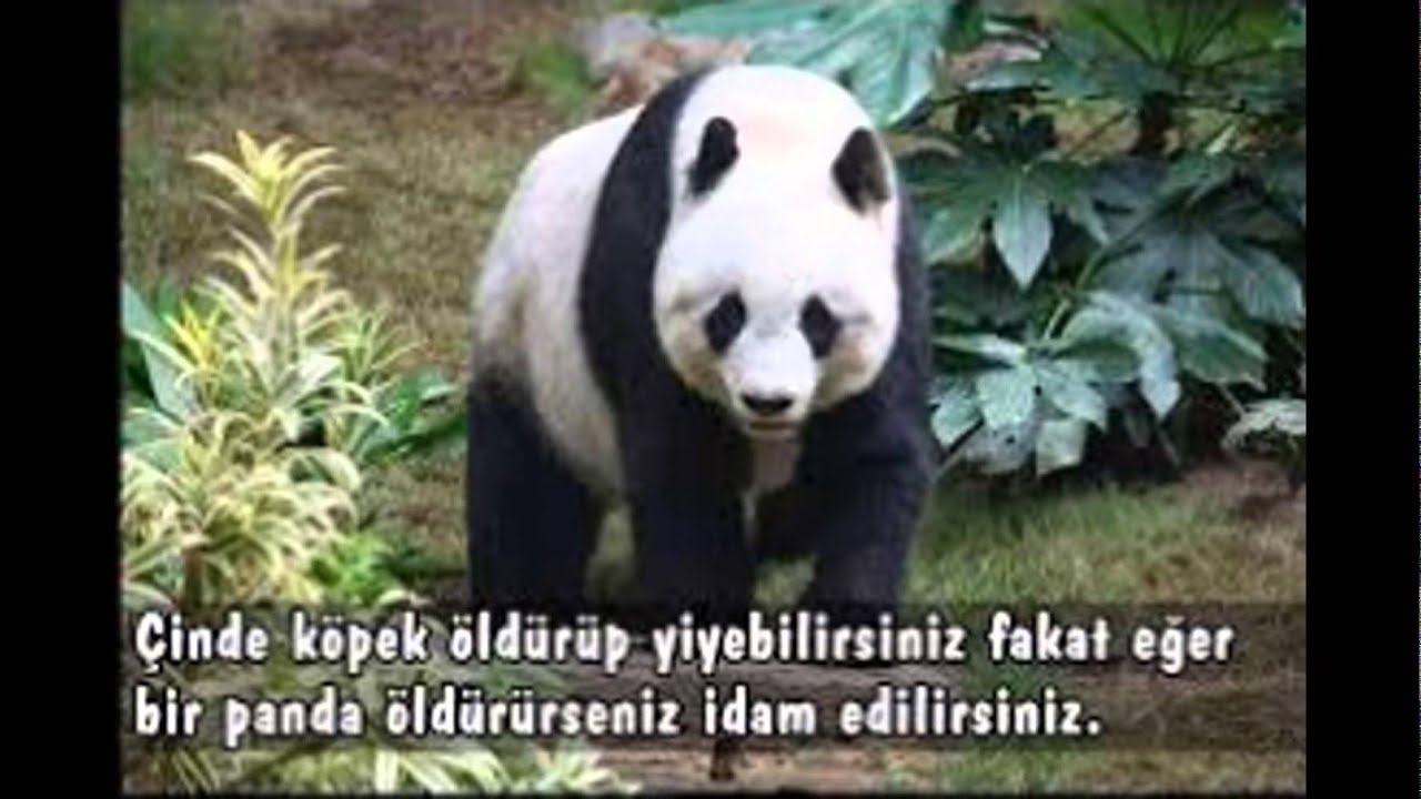 9 Tane İlgin&ccedil; Bilgi
