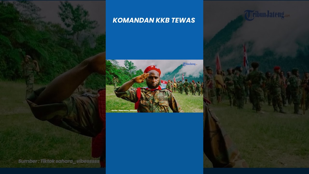 Persembunyian Pentolan KKB Papua Berakhir di Tangan TNI, 4 Anggota OPM Tewas Termasuk Lamek Taplo