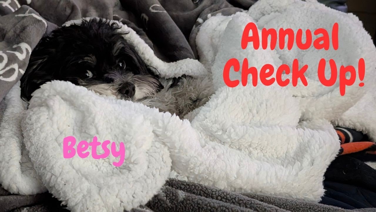 Annual Vet Check Up!  See how she did!