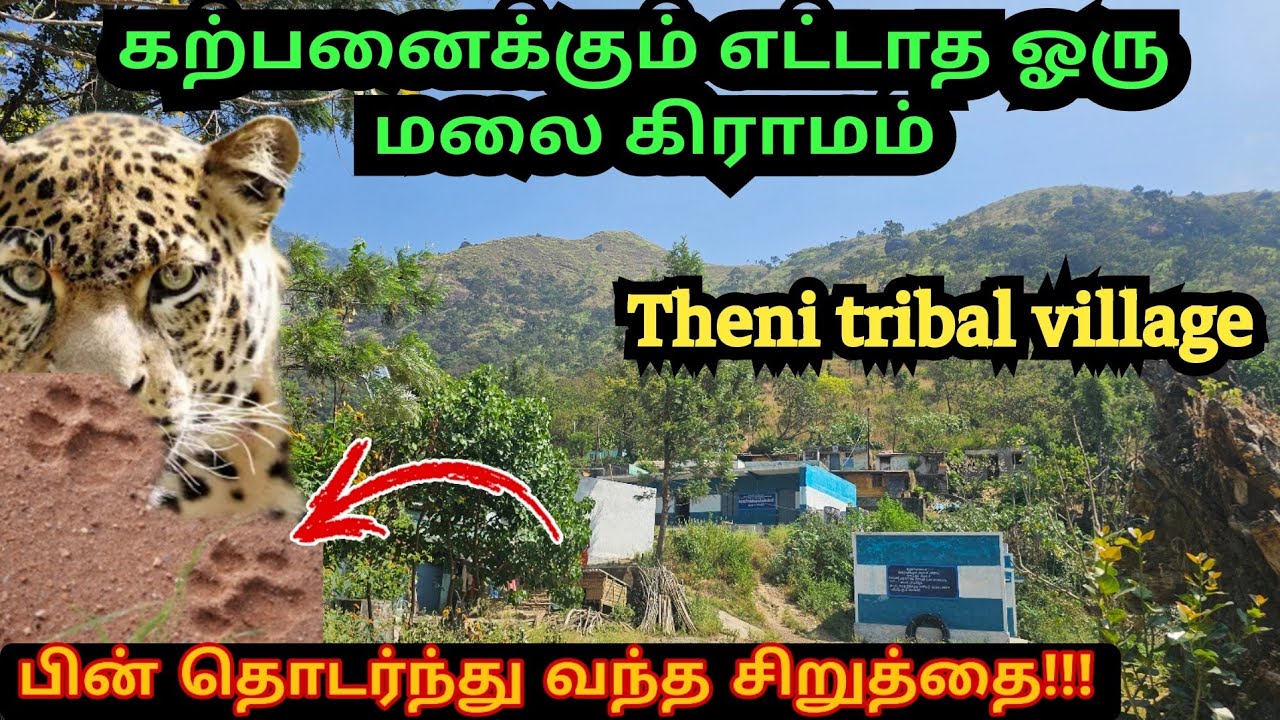 தேனி மலை உச்சியில் வாழும் முதுவன் பழங்குடியின மக்கள்|theni tribal village|muthuvan tribes