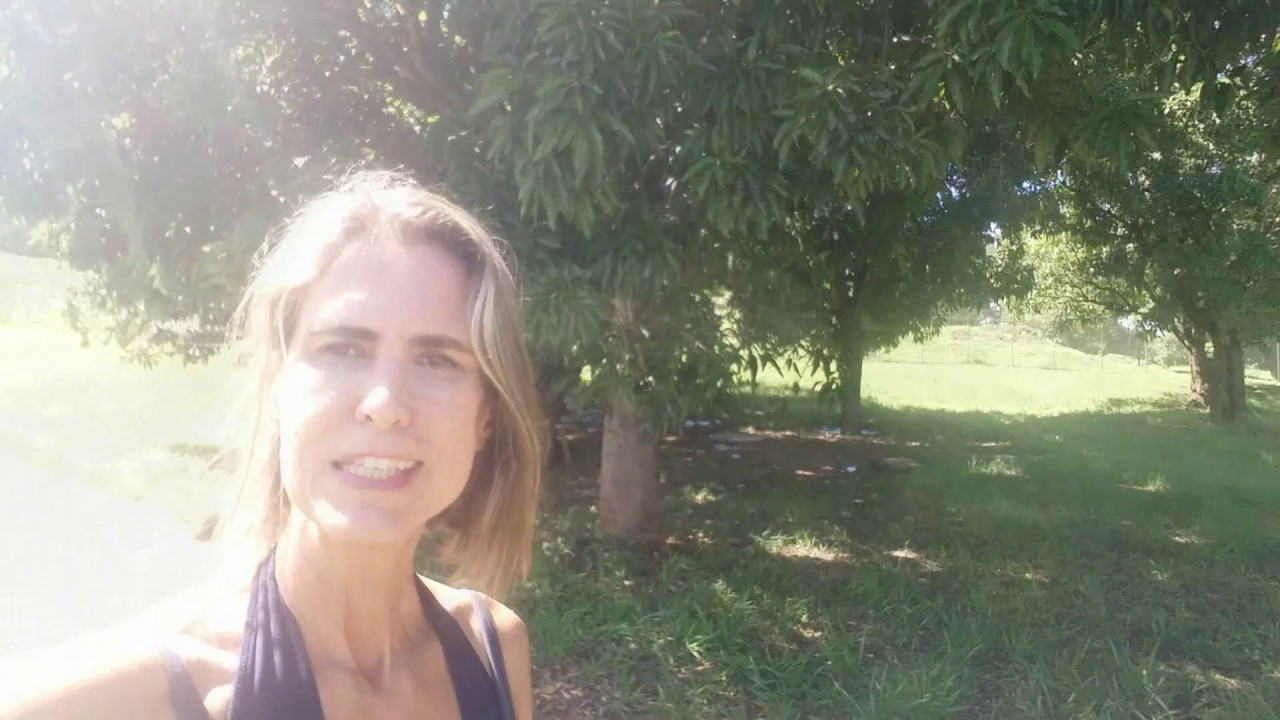 MENTE ATENTA OU MINDFULNESS - com Bernadete Amaral