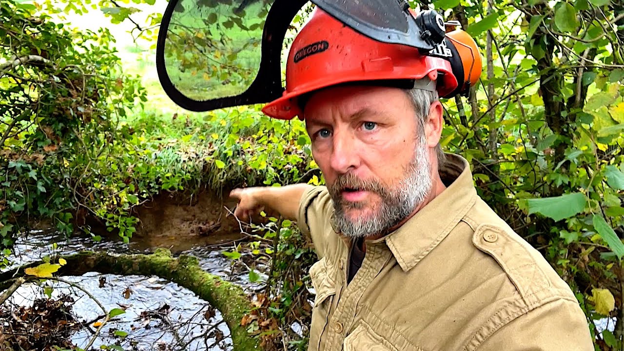 Did My Tree Break Neighbours Fence - 550xp Chainsaw Clean Up