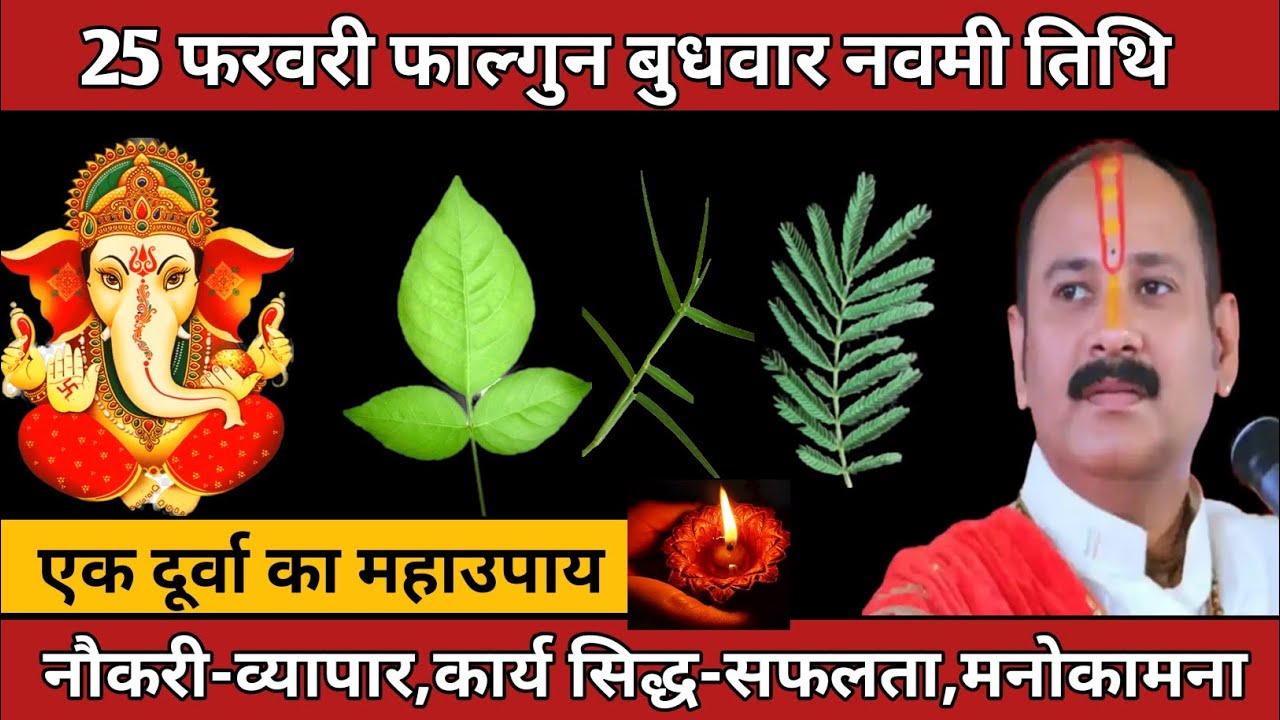 25 फरवरी फाल्गुन बुधवार शुक्लपक्ष की नवमी | नौकरी के लिए दूर्वा विशेष उपाय #budhwar #navmi 