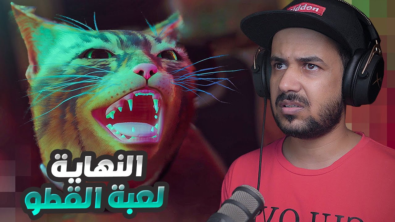 الحلقة الثالثة والأخيرة من مغامرات القطو الضائع 🐈| مترجم عربي Stray