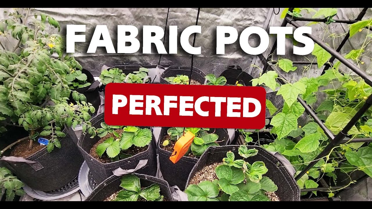 How to Prepare Fabric Pots & Grow Bags - Best Way to Start Your Fruits & Vegetables in Soil
