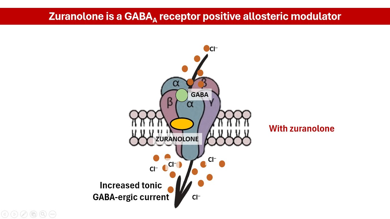 Zuranolone: A Game-Changer for Postpartum Depression Treatment │PHARMACOLOGY