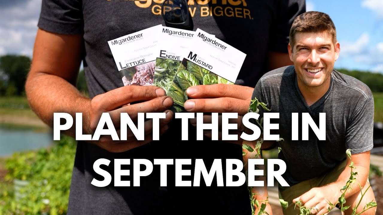Every Crop We are Planting NOW in September! 
