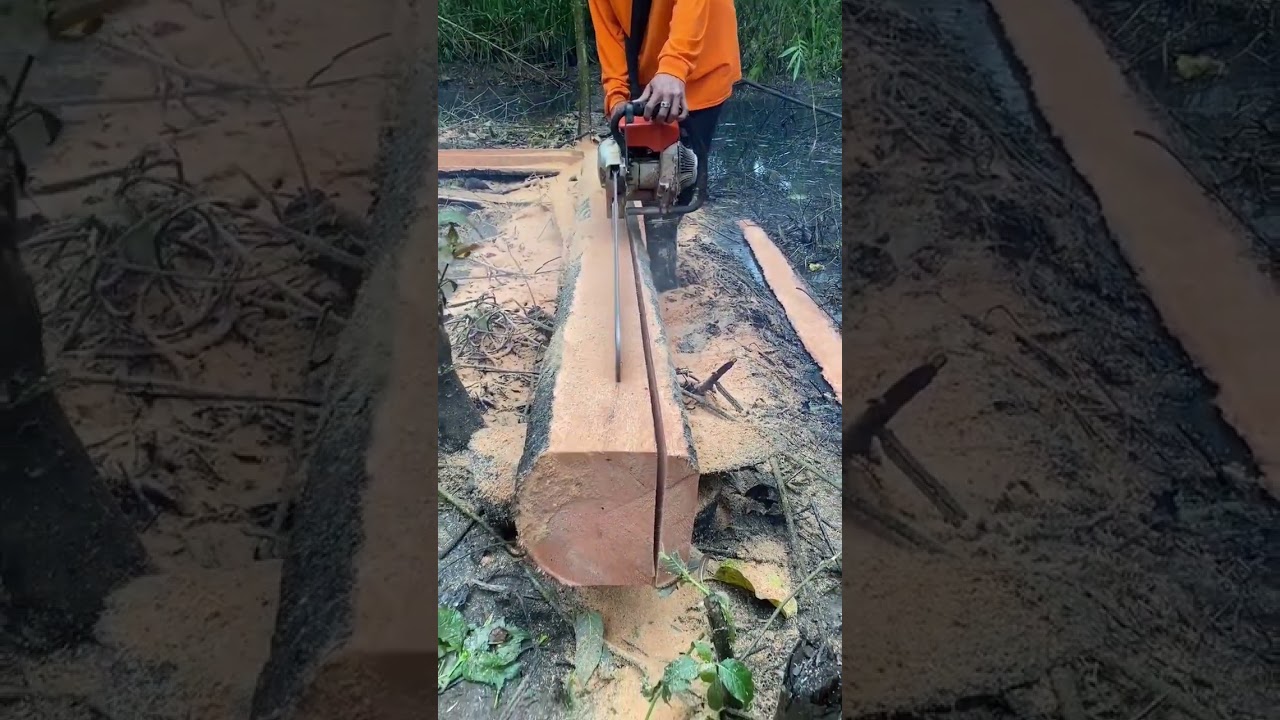 Cutting Coconut Wood into Boards with Chainsaw