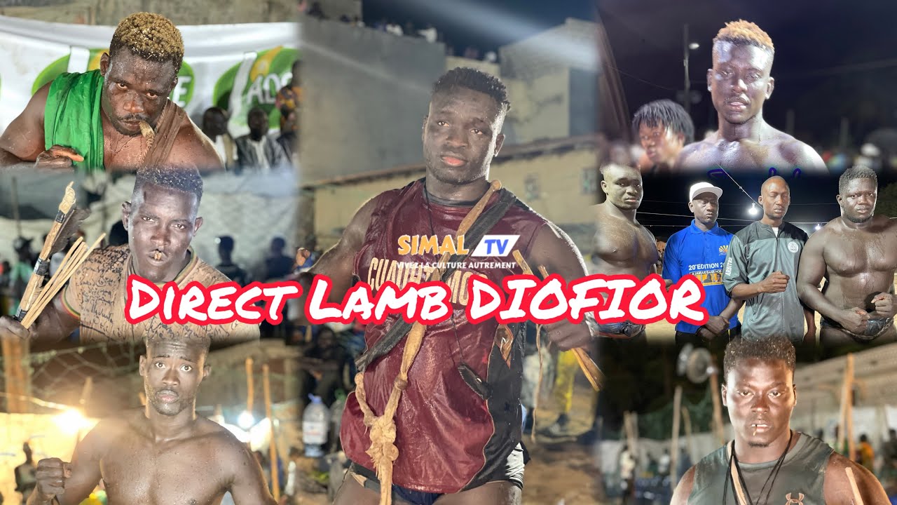 Direct Lamb DIOFIOR