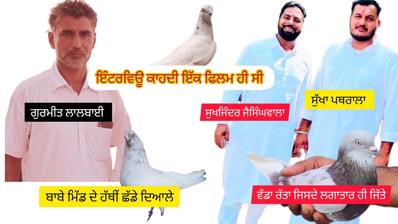 IK SHONK KABOOTARBAAZI DA INTERVIEW PART 2 Sukhjinder Jaisinghwala Sukha Pathrala Top De Star