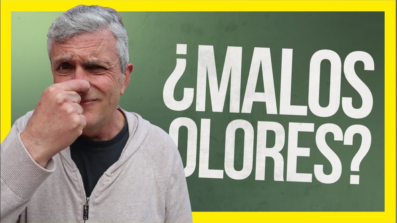 🚾 Cómo QUITAR Malos OLORES del Baño | 👌 SOLUCIONES a los Olores Desagradables en la Casa