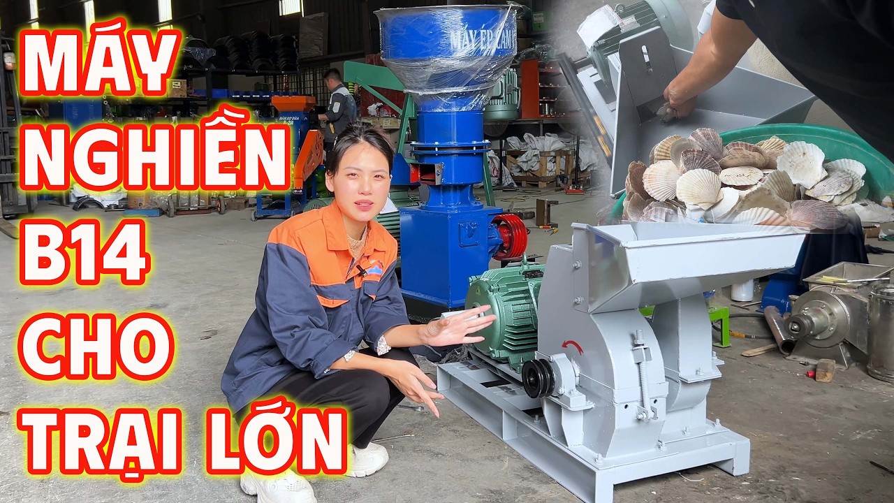 BÀN GIAO Máy Nghiền B14 Bình Quân - Chiếc máy nghiền cám dành cho mọi hộ chăn nuôi