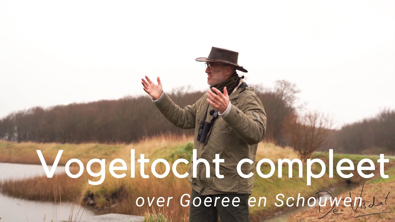 Vogeltocht over de koppen van Goeree-Overflakkee en Schouwen-Duiveland - compleet #849