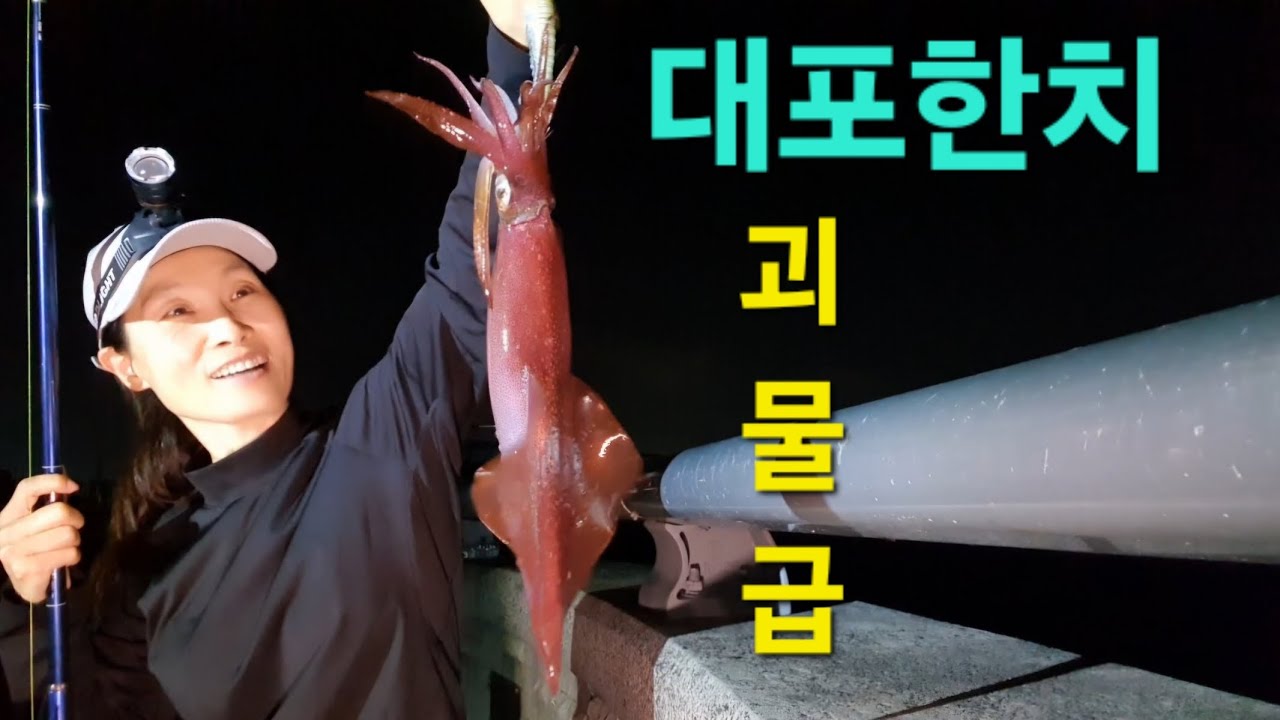 #제주바다 #제주낚시 #동부두 #괴물급대포한치