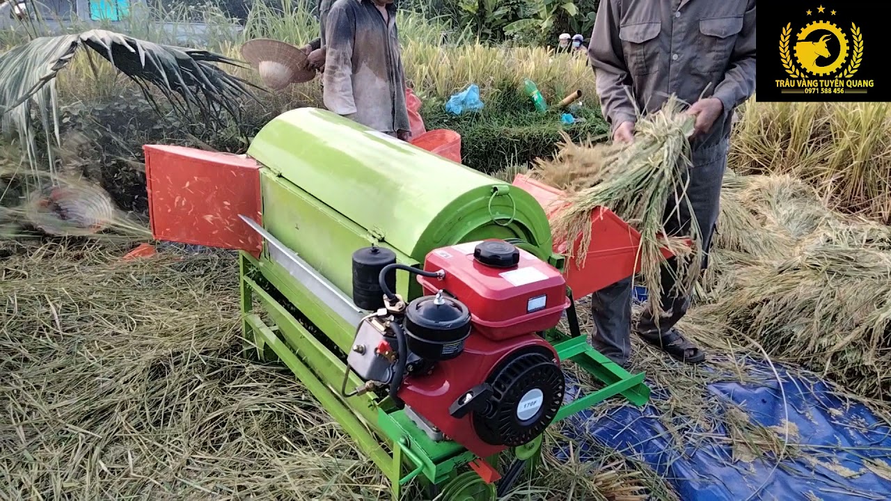 Máy tuốt lúa mini TL-02 cải tiến model 2021 tại Tuyên Quang