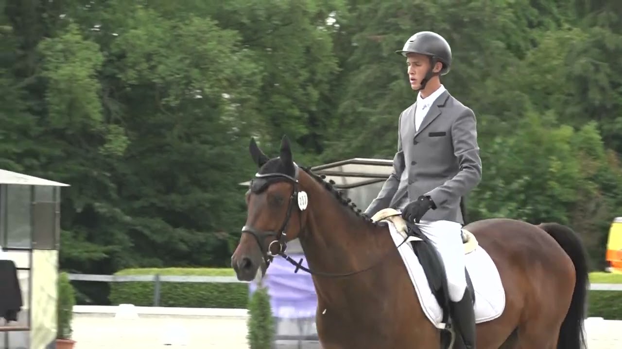 Somlóvári Gergő - Cenzor Sármőr - CCI**-S - Kaposvár 2022 július 8-10