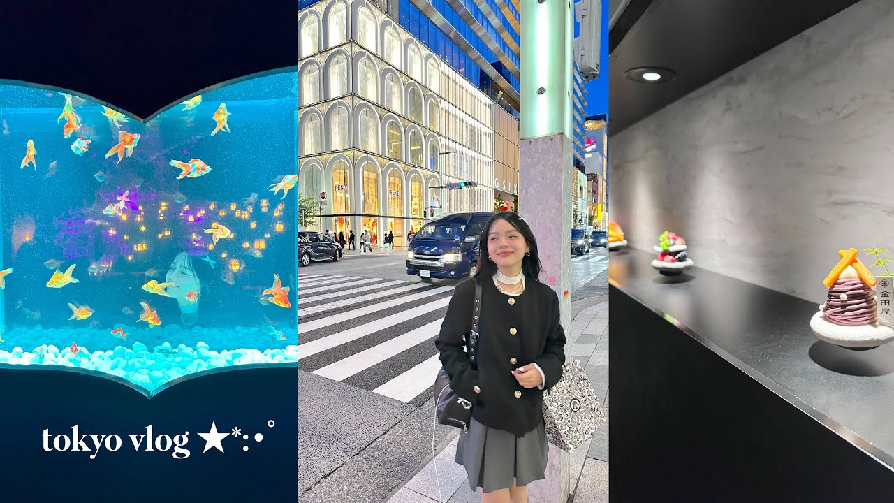 vlog em Tokyo☆ art aquarium,teamlab planets,hotel cápsula,docinho…