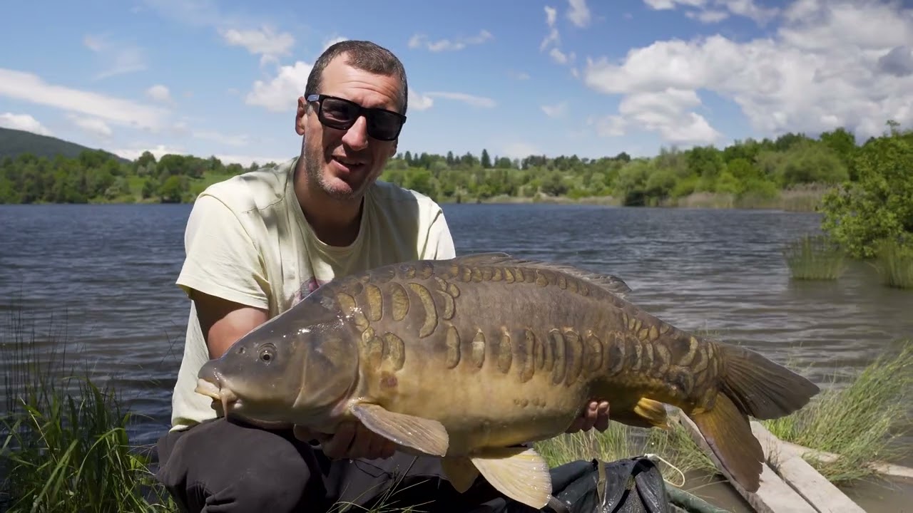 Carp Spawning – Up Close and Personal
