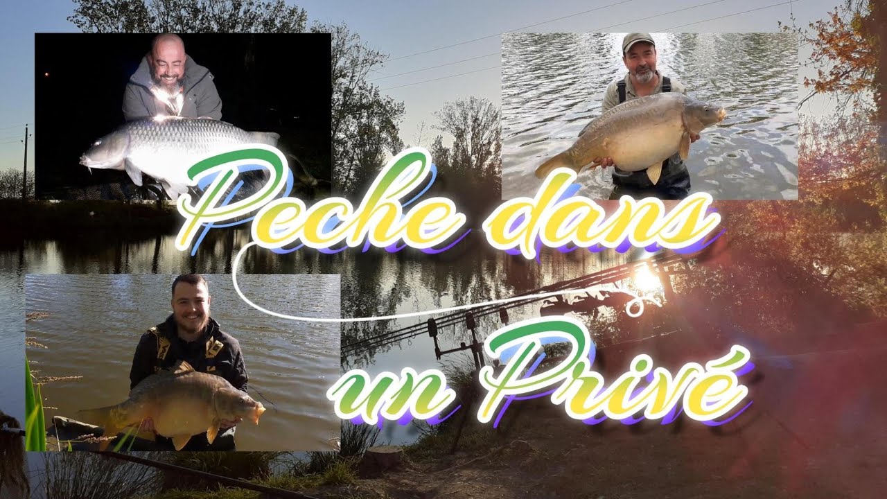 peche de la carpe dans un privé