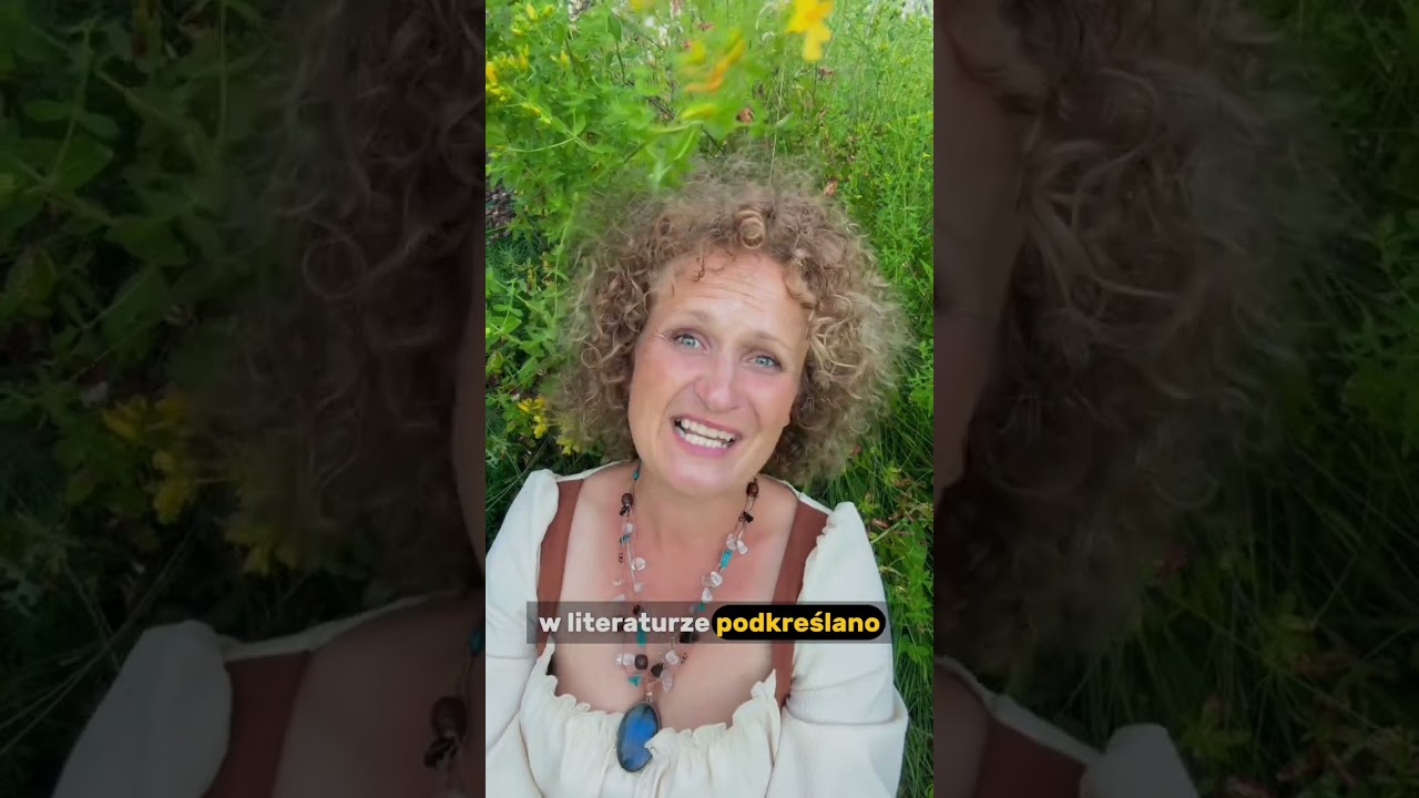 Właściwości dziurawca na pasożyty i pęcherz moczowy? Dziurawiec zwyczajny (Hypericum perforatum) &ndash;