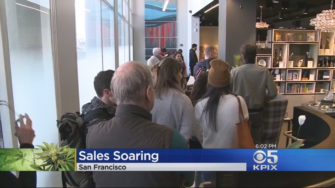 Pot Sales Soar As Marijuana Stores Open For Business In Bay Area