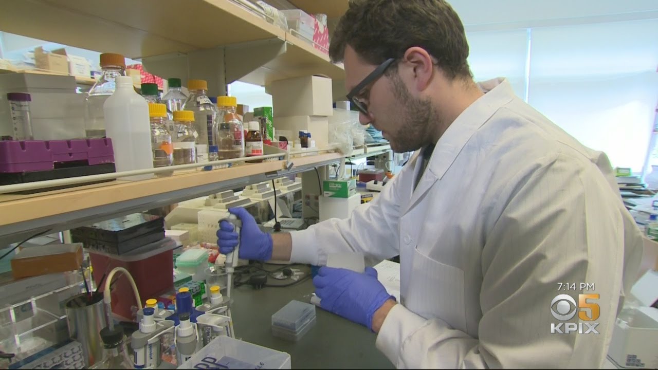 Bay Area Patients Stung by Unapproved Stem Cell Treatments