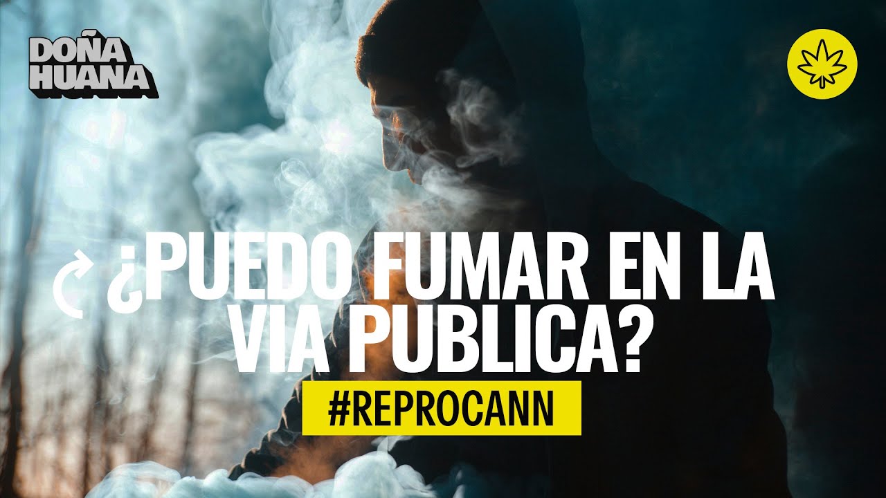 REPROCANN -&iquest;Puedo fumar porro en la calle?-&iquest;Me lo pueden desaprobar?-No aparece en MI ARGENTINA