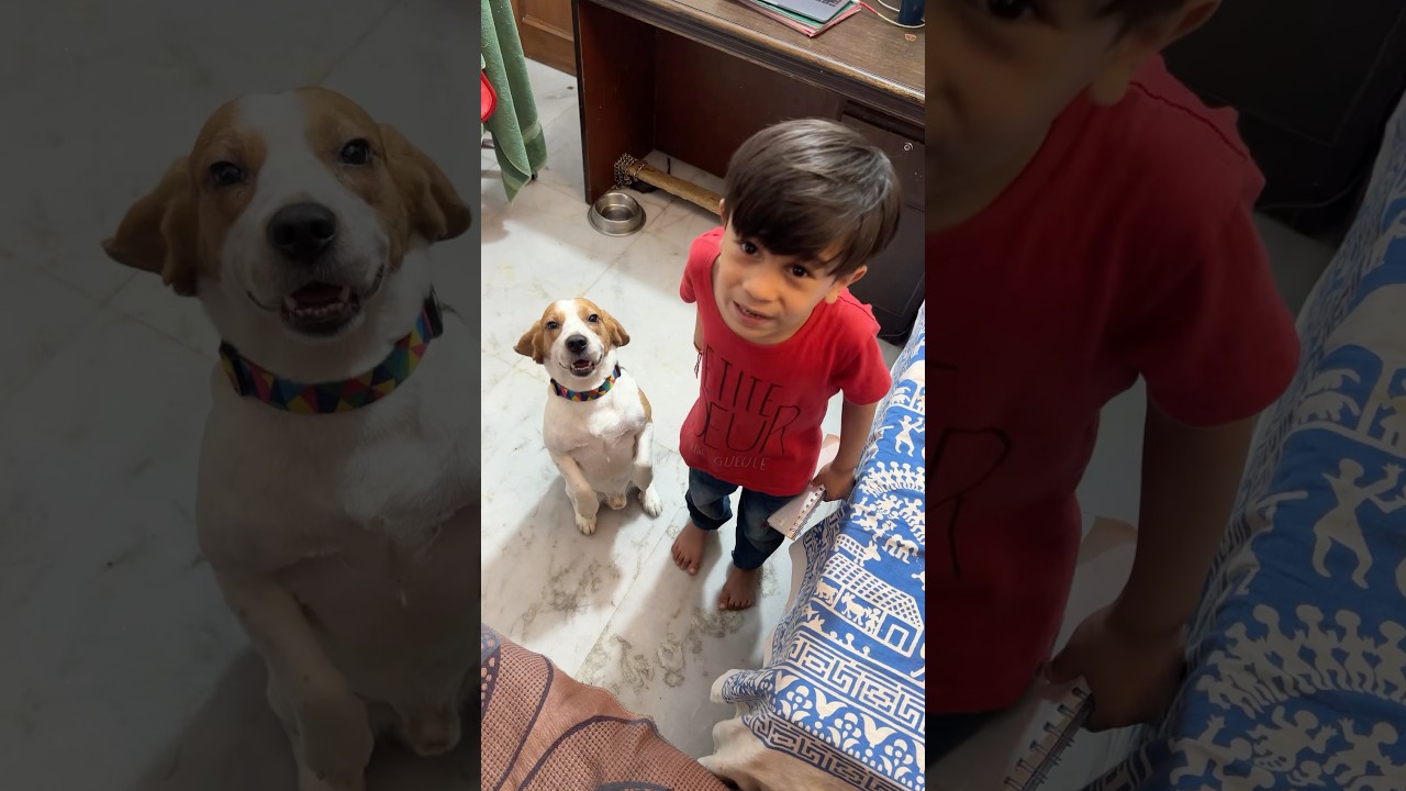 Captain , Rudransh and Devanshi 😍 #shorts #comedy