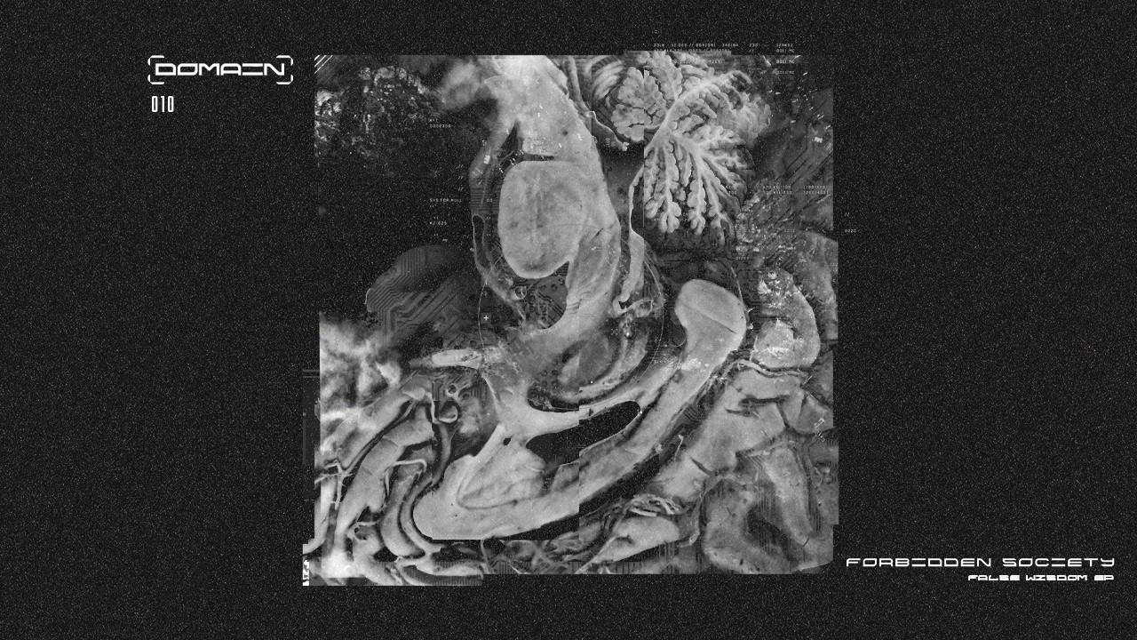 Forbidden Society - False Wisdom [DOMAIN]