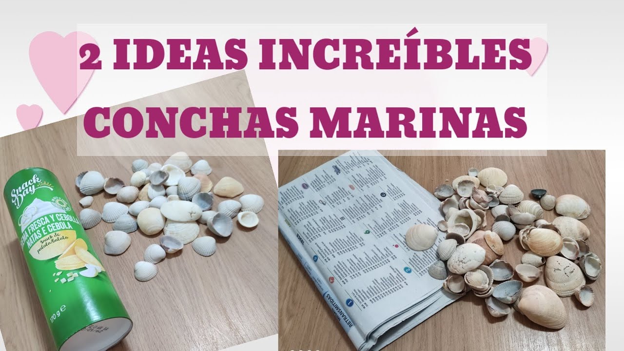 🐚 Manualidades con CONCHAS MARINAS y materiales reciclados ♻️SEASHELL CRAFTS