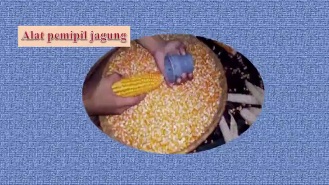 Pembuatan Tepung Jagung by Agnes Purwaningsih BPSDMP DIY