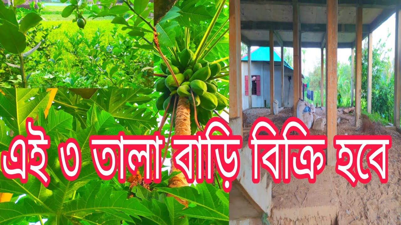 ৩ তালা বাড়ি মাত্র ৪৩ লক্ষ টাকায় বিক্রি হবে House Sales বিস্তারিত জানতে 01763559125