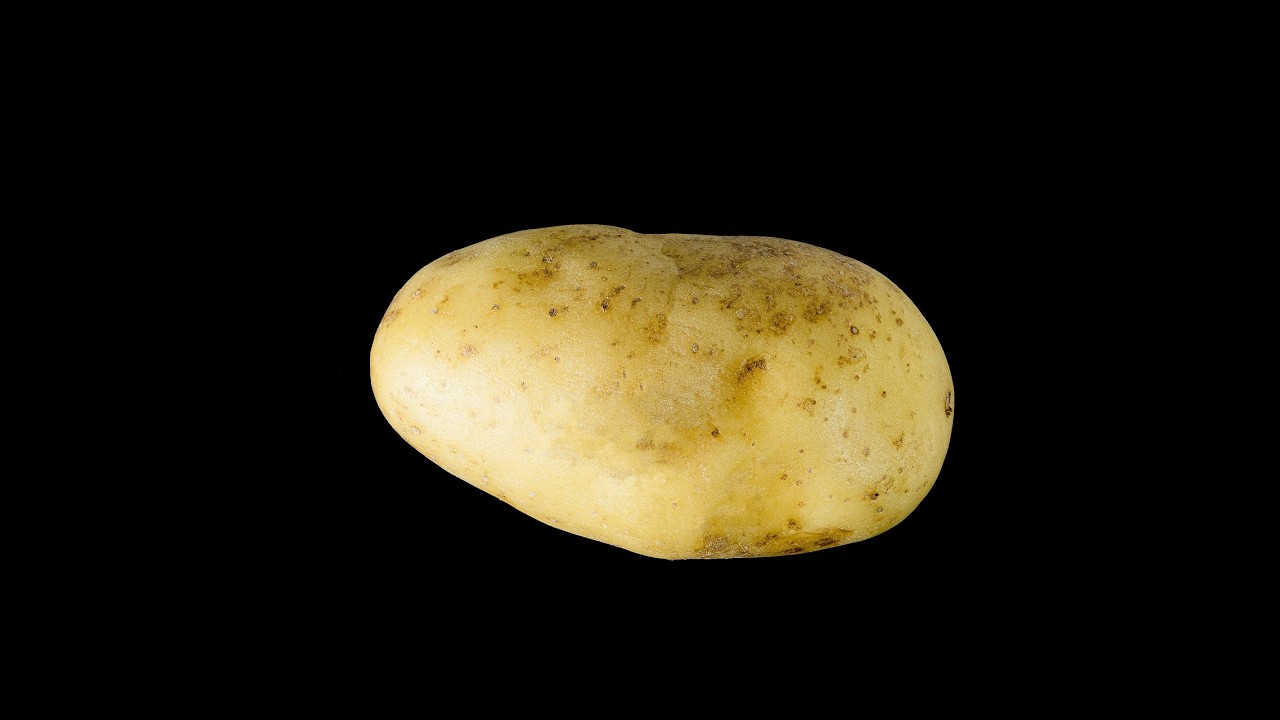 Finding Microbe From Potato -- Tissue Isolation