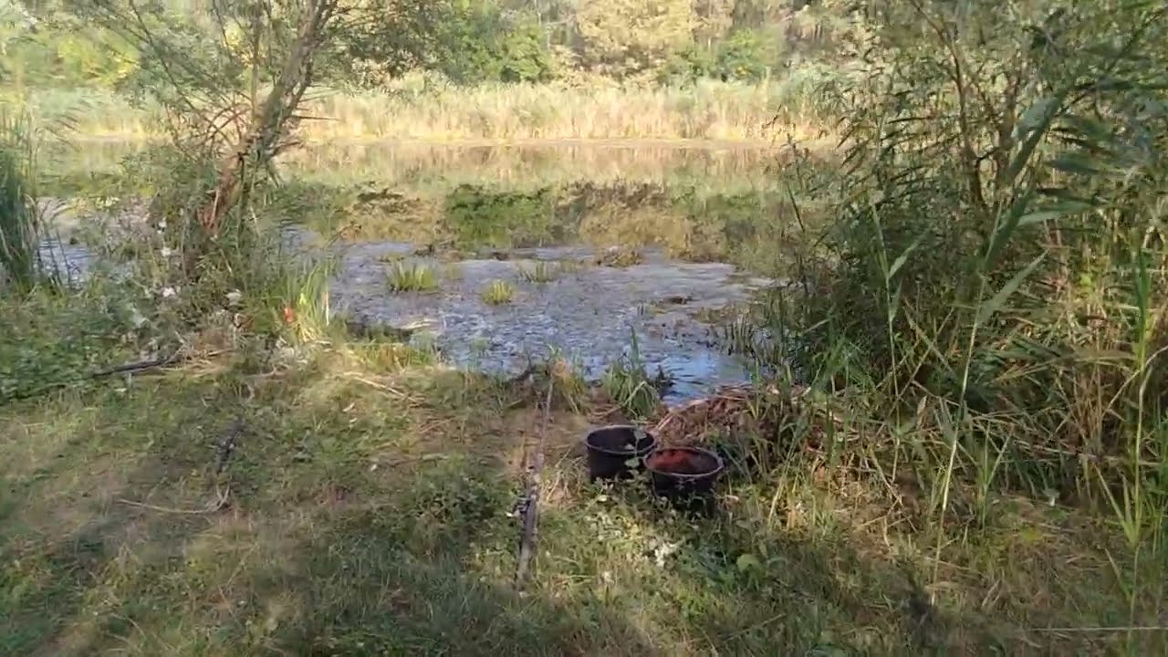 Vadvizi Horgászat Nyugati - Főcsatorna.Folyàs.2024 08 24.